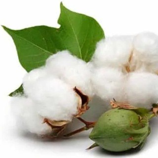 АЛЬЯНС ТЕКСТИЛЯ