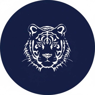 Texno Finance Market