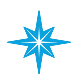 ПОЛЯРНАЯ ЗВЕЗДА - перевозки в рефконтейнерах