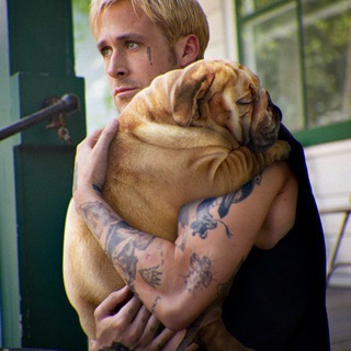 Жизнь админа