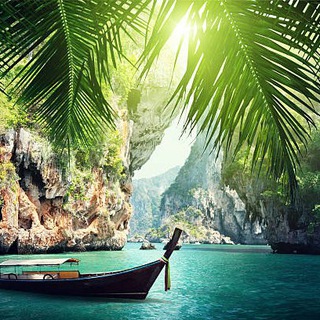 🌴Тайчик-Райчик🌴