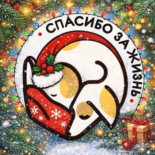 Приют "СПАСИБО ЗА ЖИЗНЬ"