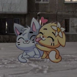 [️]~Кошкин дом~[🌙]