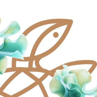 ЗОЛОТАЯ ЧЕРЕПАХА