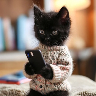 Самые популярные