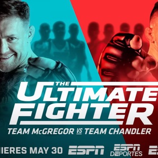 THE ULTIMATE FIGHTER