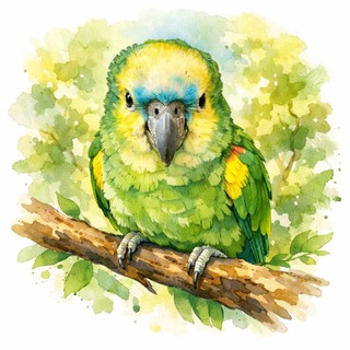 𝚃𝚑𝚎 𝙰𝚖𝚊𝚣𝚘𝚗 𝙵𝚊𝚖𝚒𝚕𝚢