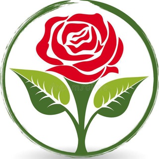 Цветы в доме