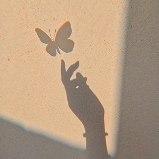 THE BEST OF ALIEXPRESS & WILDBERRIES