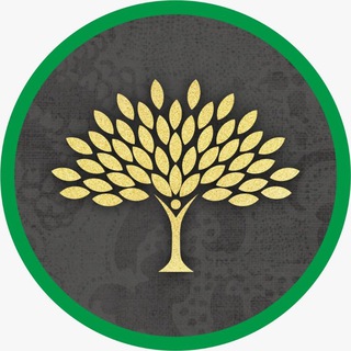 Мастерская Здоровья и Долголетия