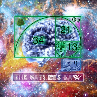 🌀The Nature law🌻