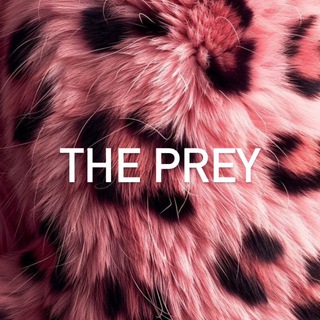 The Prey