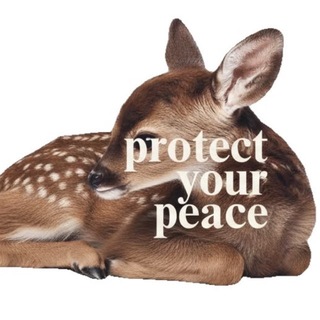 the salem eyes ☽ˊˎ-