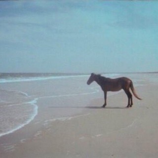 13knees / синки