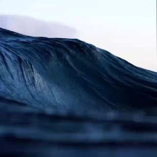 WAVE