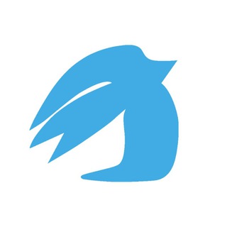 Привет, мы птички!