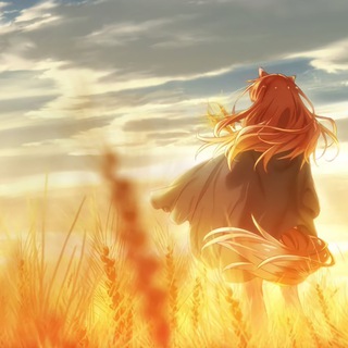 Лисьи Скидки