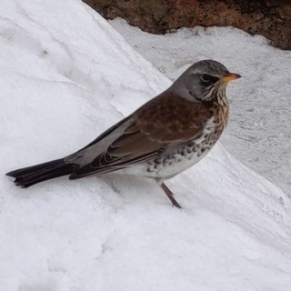 Моменты в кадрах l Фотограф Алтая