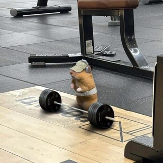 На хайпе News