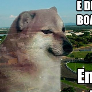 TI, Games &amp; Memes Roraima Chat