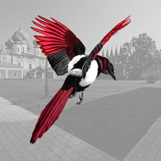 Тихвинская сорока