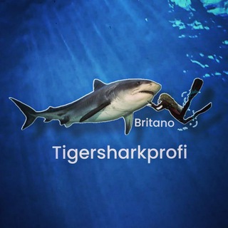 Остров Тигровых Акул