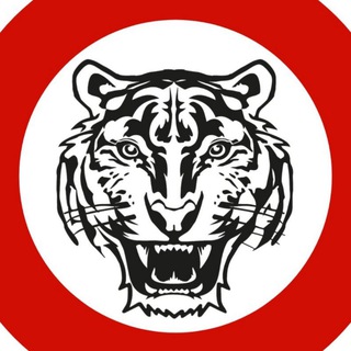 TIGRIS | клуб единоборств |