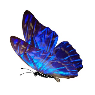 Тихая мудрость:))