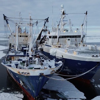 Тихрыбком | NordMile | Магаданские морепродукты