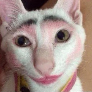 Циничный косметолог💉😹