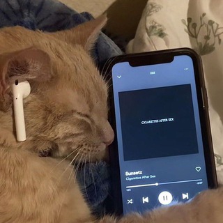 𝐭𝐢𝐤𝐭𝐨𝐤 𝐬𝐨𝐧𝐠𝐬