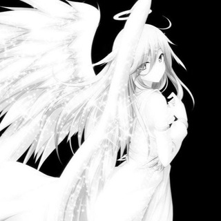 фисташки тиля