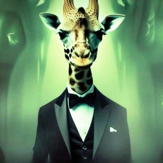 тима майнкрафт