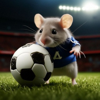 ⚡️Football Mouse 🐁