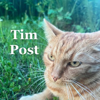 TimPost
