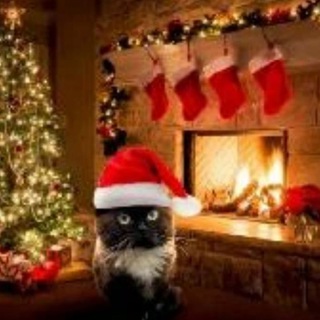 Подвал чмони