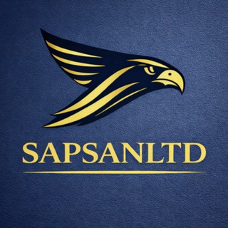 Транспортная компания «Sapsanltd» | Грузоперевозки