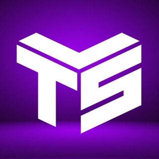 ТЛС-ГРУП / КОНСУЛЬТАНТ ПЛЮС