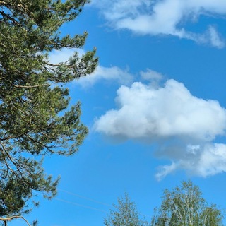 На фазенде 🍙