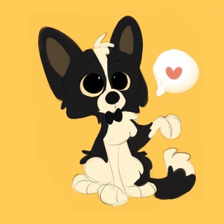 Mr. Togo закупки для животных.