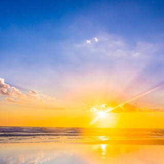 В поисках истины