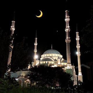 ☪️ Muslim's diary | Ислам | Коран | Хадисы