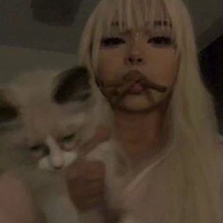 #westia🐻‍❄️