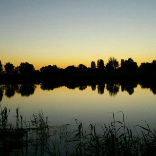 ТРУДНЫЙ ТОКОВ