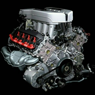 Olg'a o'zbekistonliklar