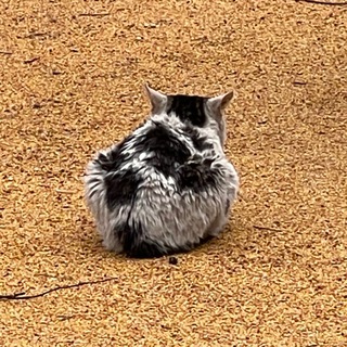 Луканова - Субъективно о бизнесе