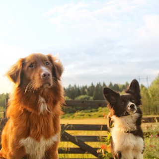 let’s run together?