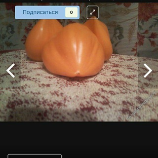 ❤Томаты от tomatinki.❤️