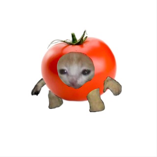 Томатный передоз