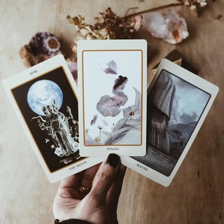 Сны и предсказания✨